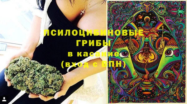 a pvp Алзамай